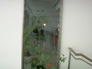 f0142668_7552753.jpg
