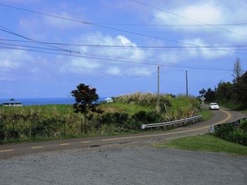 e0066369_13465320.jpg