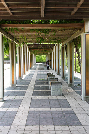 c0104371_1324629.jpg