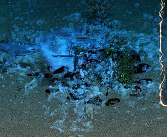 c0013975_10453882.jpg