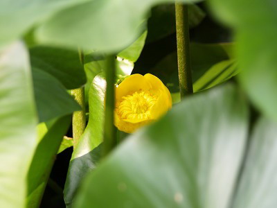 d0054276_200469.jpg