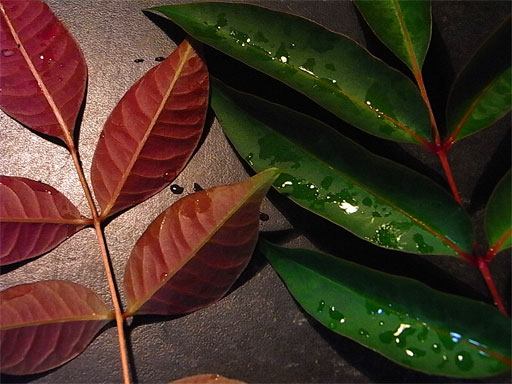 f0089079_0305063.jpg