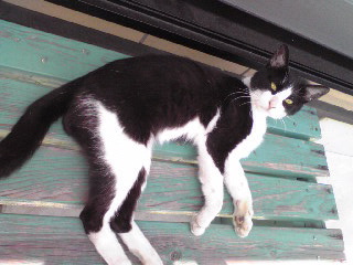 a0077891_9432370.jpg