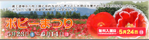 b0099994_1292669.gif