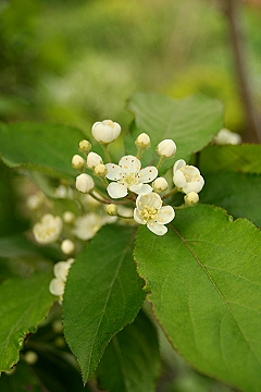 f0051194_1246829.jpg