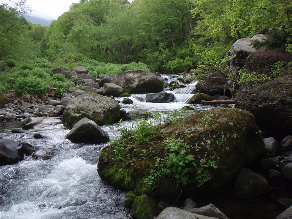 c0177497_2256133.jpg