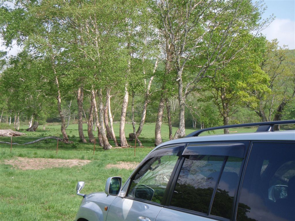 c0177497_2335387.jpg