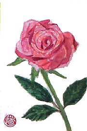 f0008597_2185017.jpg