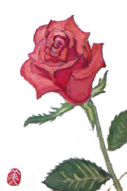 f0008597_2191296.jpg