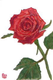 f0008597_2192569.jpg