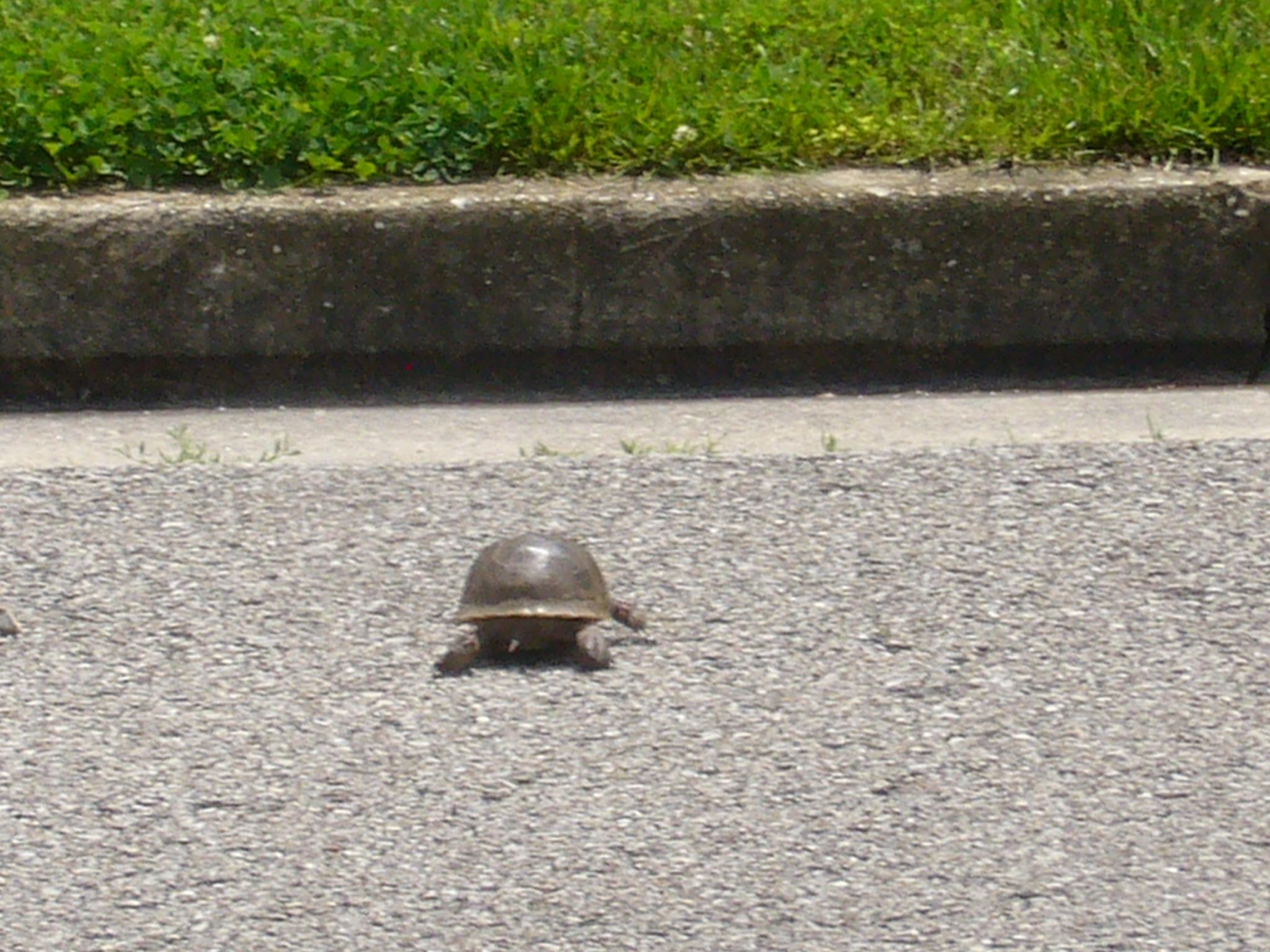 f0169397_720381.jpg