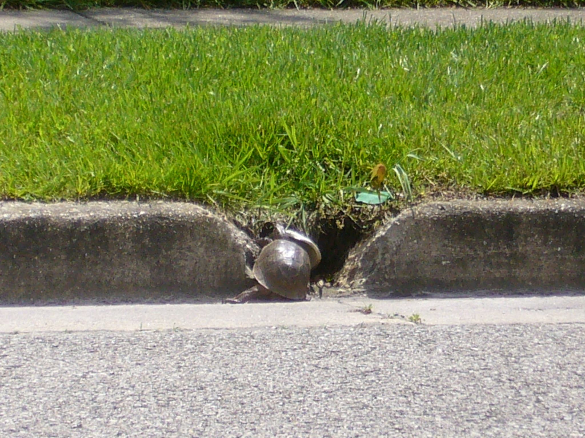 f0169397_7204196.jpg