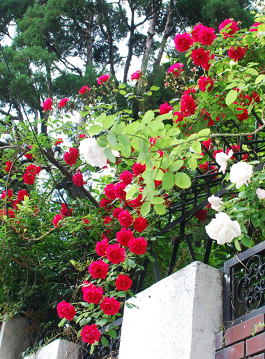 e0166398_2121188.jpg