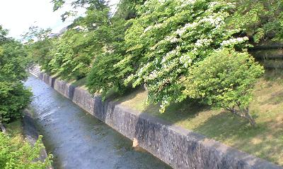 b0083902_21201855.jpg