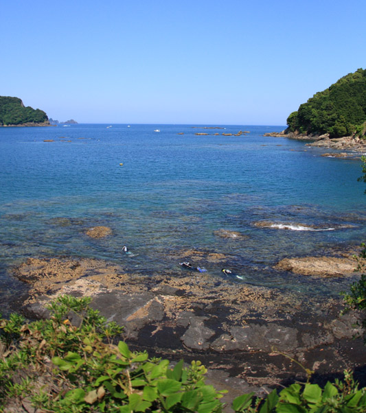 d0147002_14272784.jpg