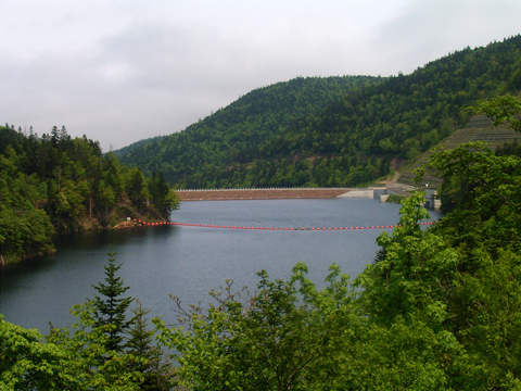 d0051707_2034020.jpg