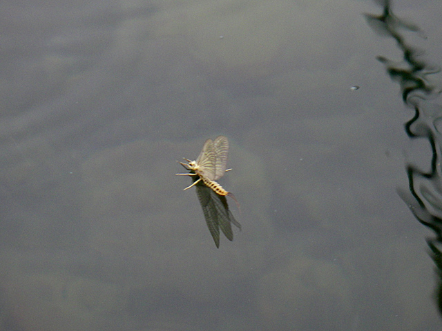 d0051707_20344022.jpg
