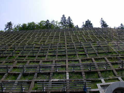 d0051707_2054462.jpg