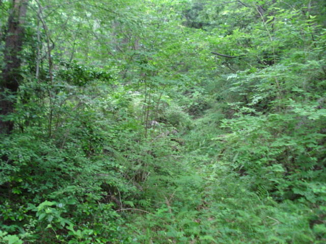 e0015108_1016435.jpg