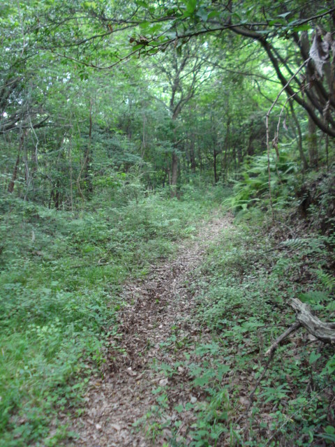 e0015108_1021444.jpg
