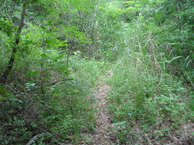e0015108_10225323.jpg