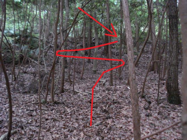 e0015108_10274018.jpg