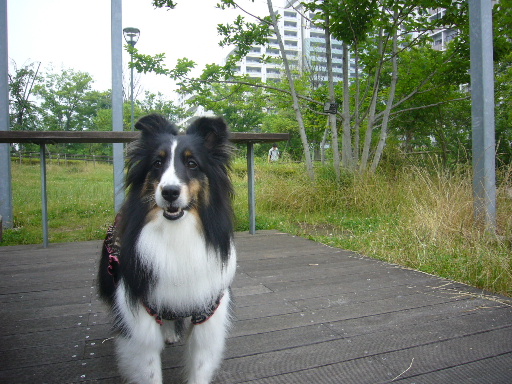 e0130008_22422949.jpg