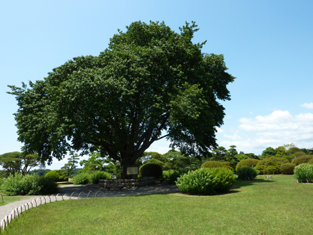 d0113613_12512916.jpg
