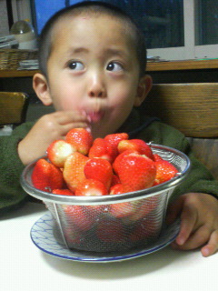 f0031013_1304297.jpg