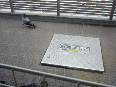 c0145016_1127378.jpg