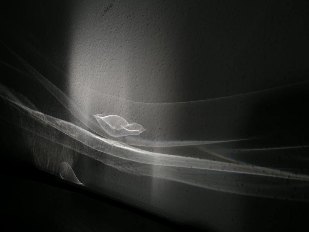 d0144121_753443.jpg