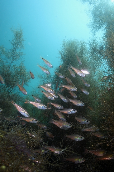 f0206424_2127015.jpg