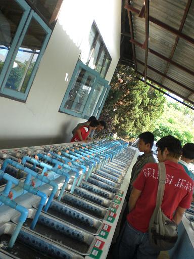 e0128930_17201310.jpg