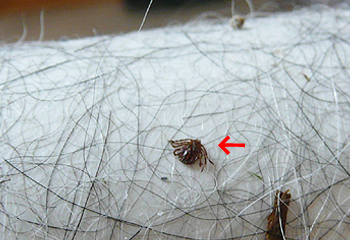 e0138031_7172177.jpg