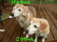 d0140133_21381866.jpg