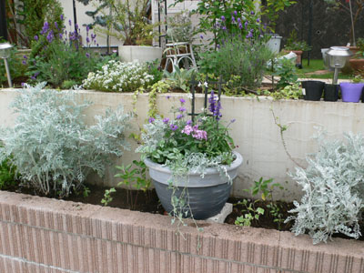 f0061334_2050523.jpg