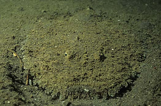 b0042837_17411253.jpg