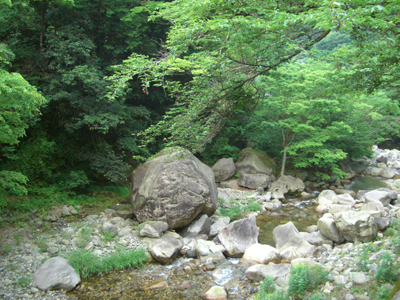 e0110940_21443382.jpg