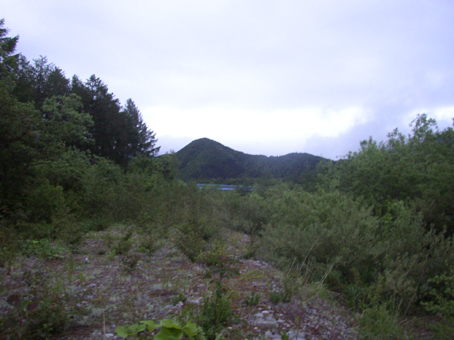 a0044046_074178.jpg