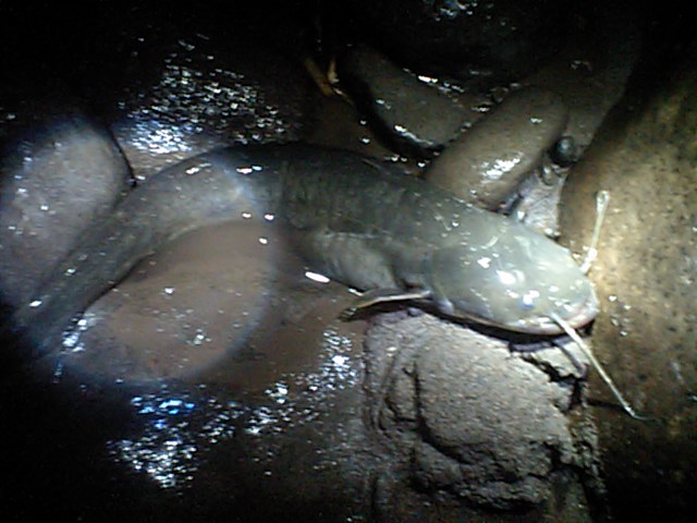 b0180946_12453163.jpg