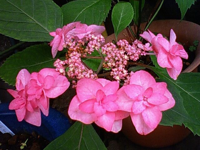 f0179947_0282628.jpg