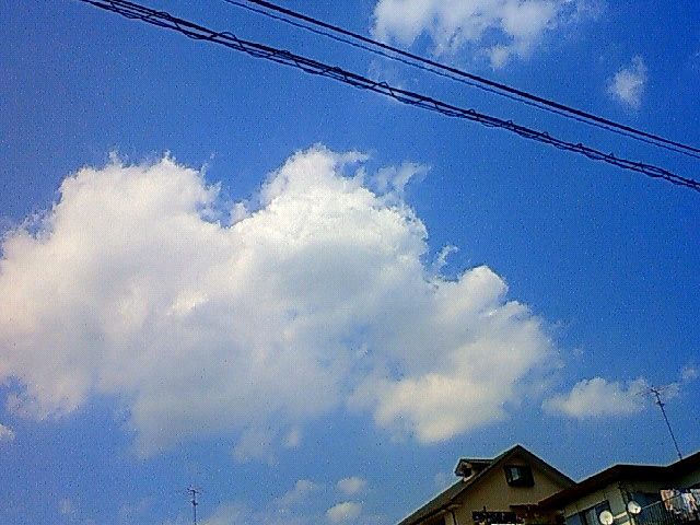 f0179947_0292090.jpg