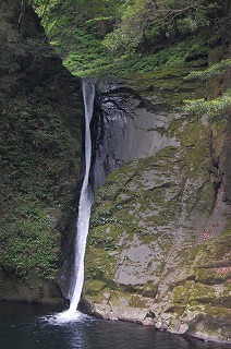 e0131153_23411972.jpg