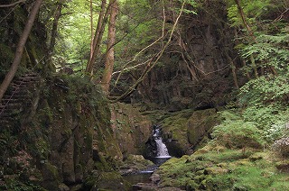 e0131153_23424111.jpg