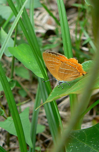 d0091754_2351413.jpg