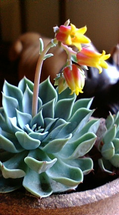 e0112057_20295312.jpg