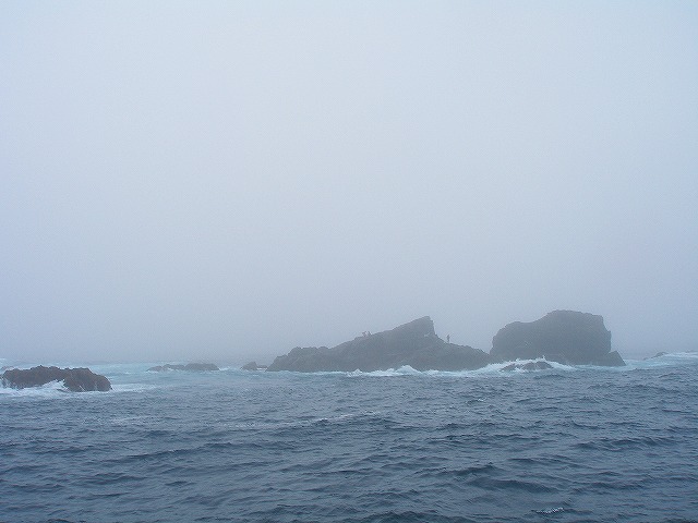 a0117858_11251117.jpg