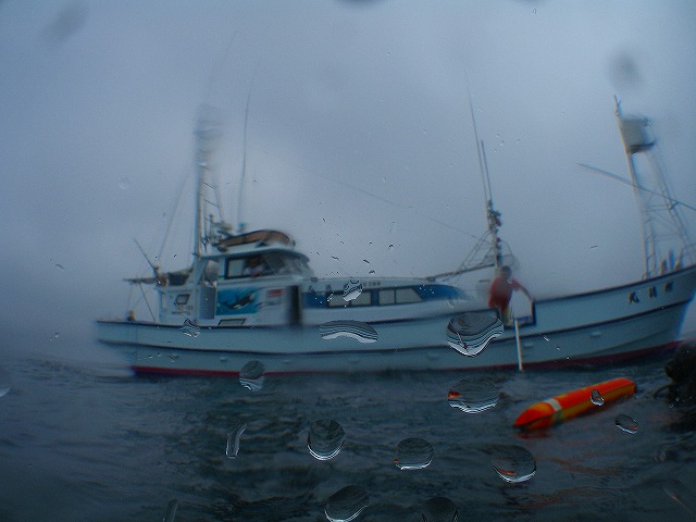 a0117858_11253481.jpg
