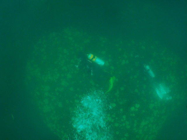 a0117858_11264982.jpg