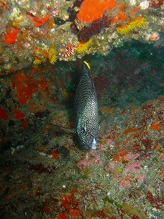 a0117858_1192733.jpg